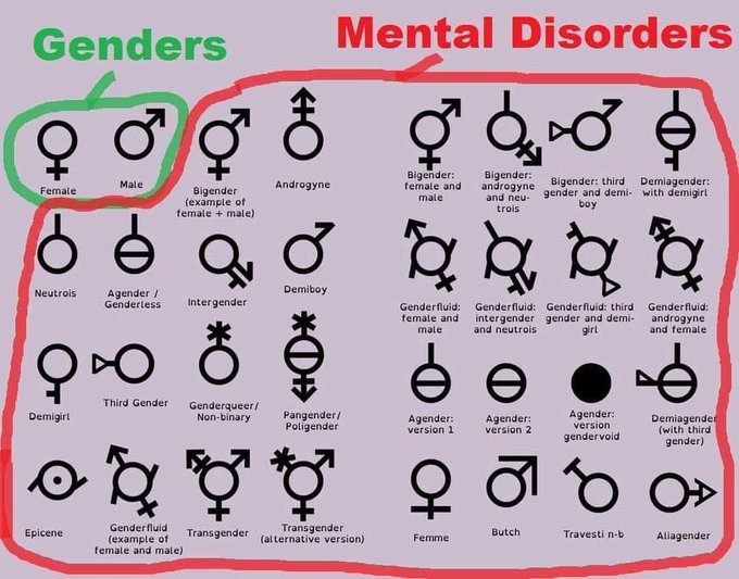 Gender cultists — the most violent group in the western world.