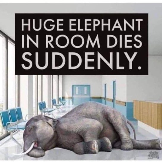 Huge Elephant in the Room Dies Suddenly.
