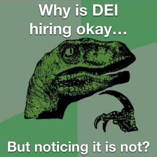 Why is hiring for DEI okay . . .