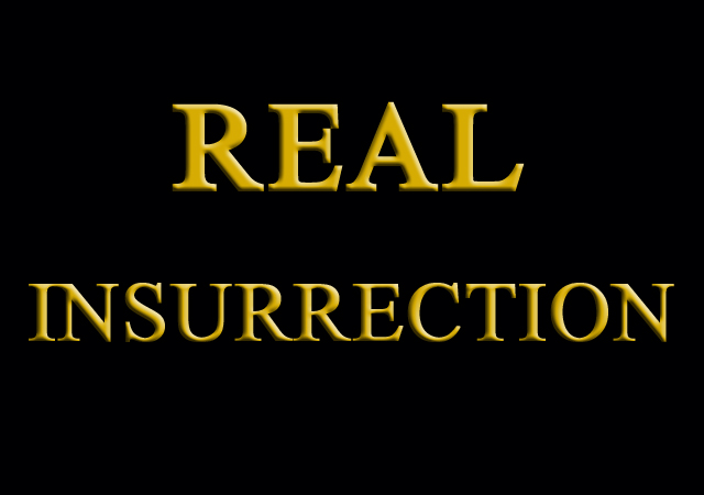 The Democrat Party Is Moving Into Overt Insurrection For The Purpose Of Goading President Trump Into Declaring Insurrection So They Can Label Him A Tyrant