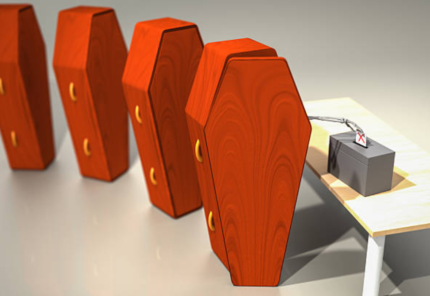 Understanding Voter Suppression [of illegals & dead people] with Sophia Lin Lakin of the ACLU