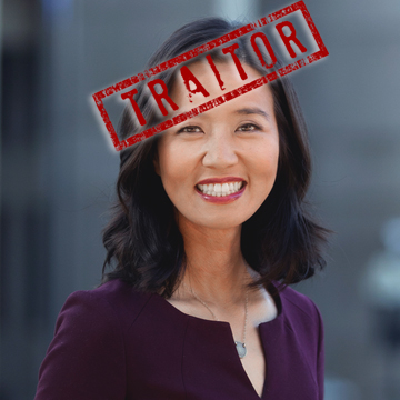 Anti-Taxpayer, Anti-American Wu announces millions in funding for mostly ILLEGAL immigrant organizations in Boston